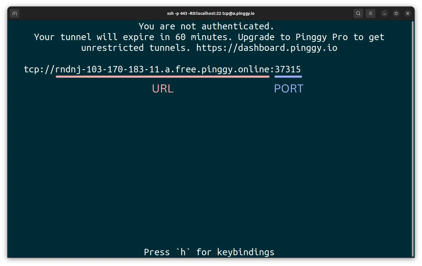 Get the URL and port from the output of the Pinggy command to ssh into your IoT device.